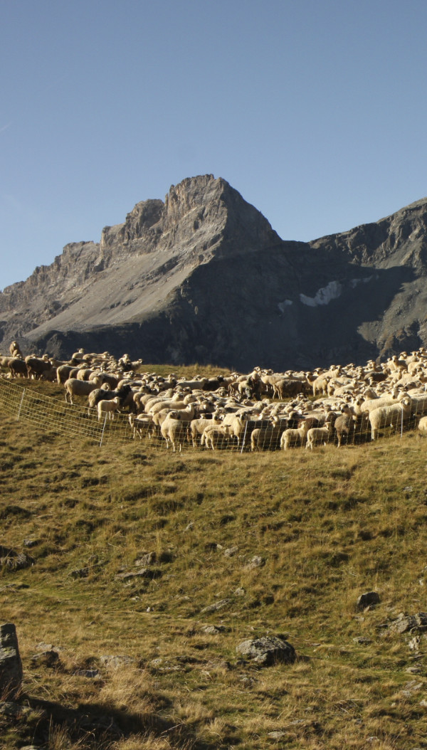 val-gelon-produits